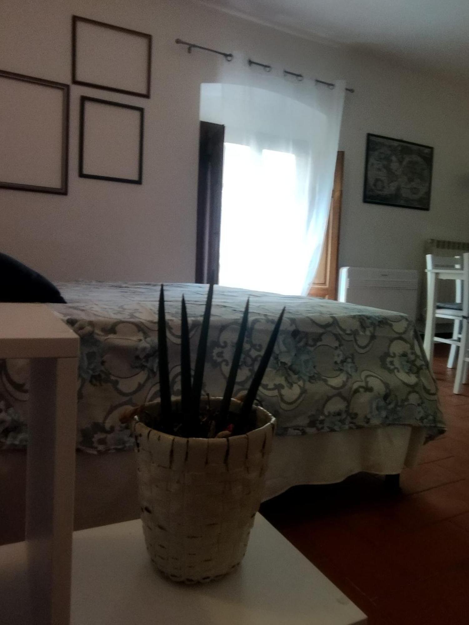 Villa Badia A Ruoti Bagian luar foto