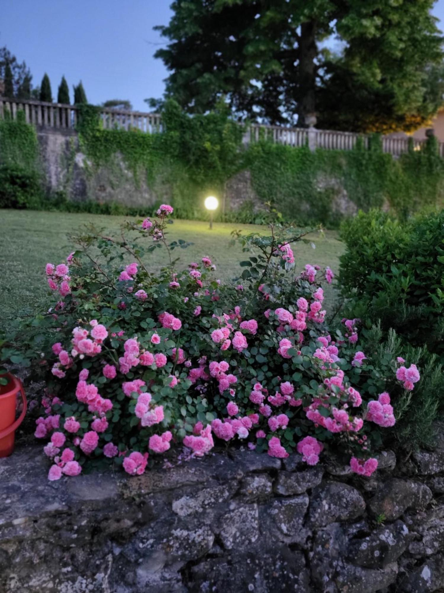 Villa Badia A Ruoti Bagian luar foto